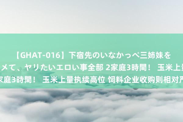 【GHAT-016】下宿先のいなかっぺ三姉妹を泥酔＆淫媚オイルでキメて、ヤリたいエロい事全部 2家庭3時間！ 玉米上量执续高位 饲料企业收购则相对严慎