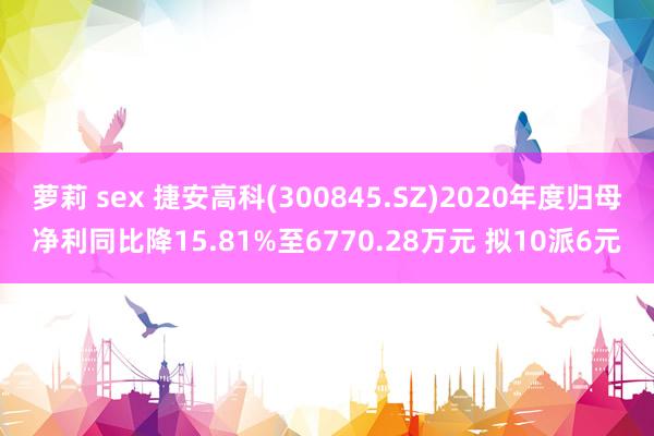 萝莉 sex 捷安高科(300845.SZ)2020年度归母净利同比降15.81%至6770.28万元 拟10派6元