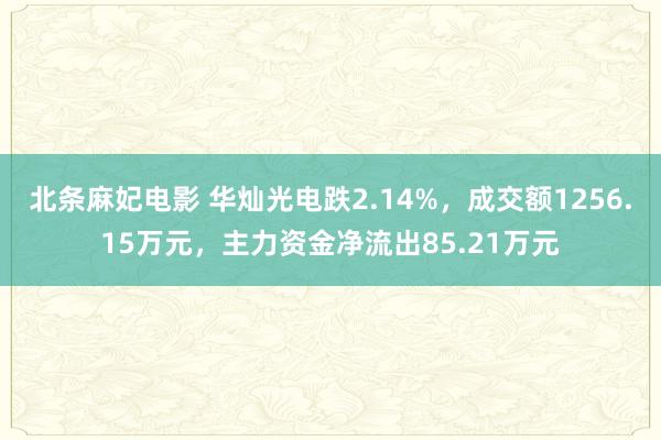 北条麻妃电影 华灿光电跌2.14%，成交额1256.15万元，主力资金净流出85.21万元