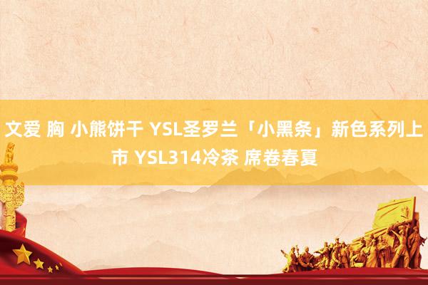 文爱 胸 小熊饼干 YSL圣罗兰「小黑条」新色系列上市 YSL314冷茶 席卷春夏