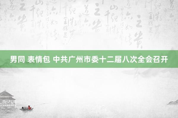 男同 表情包 中共广州市委十二届八次全会召开