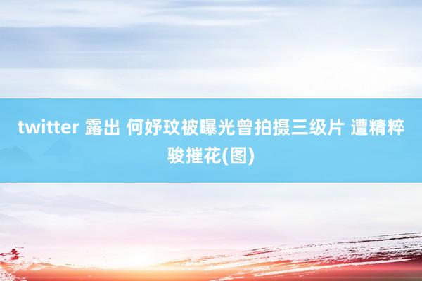 twitter 露出 何妤玟被曝光曾拍摄三级片 遭精粹骏摧花(图)